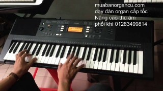 01283499814 HỌC ĐÀN ORGAN dòng nhạc Trữ Tình Remix Việt Nam  1