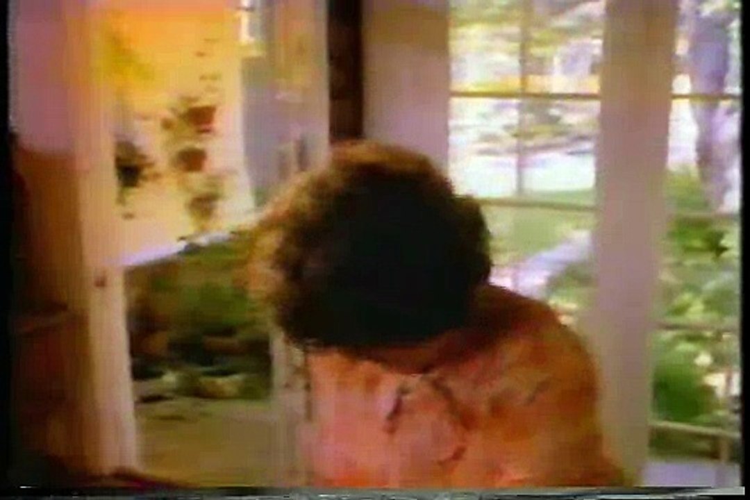 1979-81 Commercials:  Clorox 2 Bleach to Toys R Us