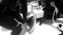 Shark Hunt