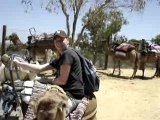 descente de chameau tunisie