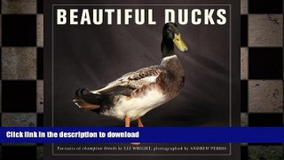 FREE PDF  Beautiful Ducks  DOWNLOAD ONLINE