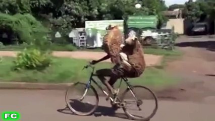 FUNNY Videos & Crazy Clips  JANUARY 2016 Compilation