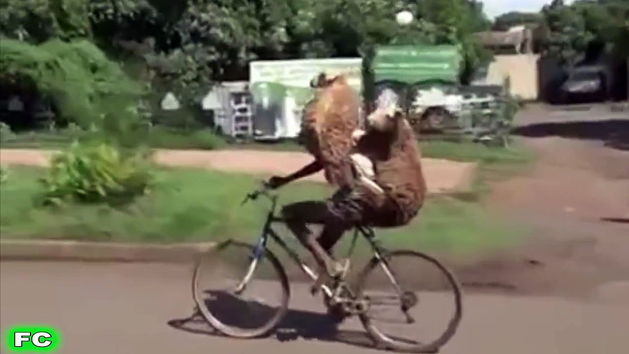 FUNNY Videos & Crazy Clips  JANUARY 2016 Compilation