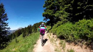 Falling off a mouuntain bike in the Alps and breaking some ribs