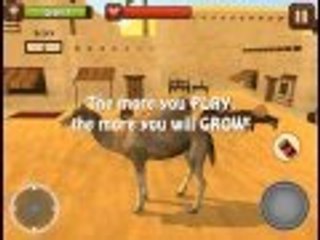 Camel Simulator iOS HD Gameplay