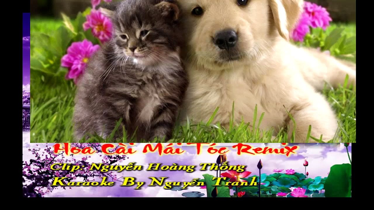 LIÊN KHÚC NHẠC TRẺ REMIX HAY NHẤT HIỆN NAY 2016