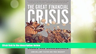 Big Deals  The Great Financial Crisis: Causes and Consequences  Free Full Read Most Wanted
