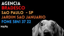 ✔ Agência BRADESCO em SAO PAULO/SP JARDIM SAO JANUARIO - Contato e endereço