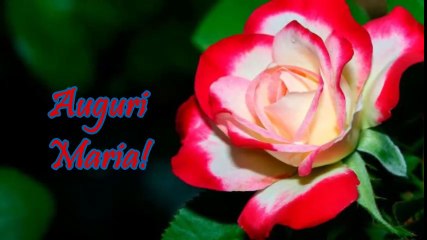 Tanti Auguri di Buon Compleanno Maria!