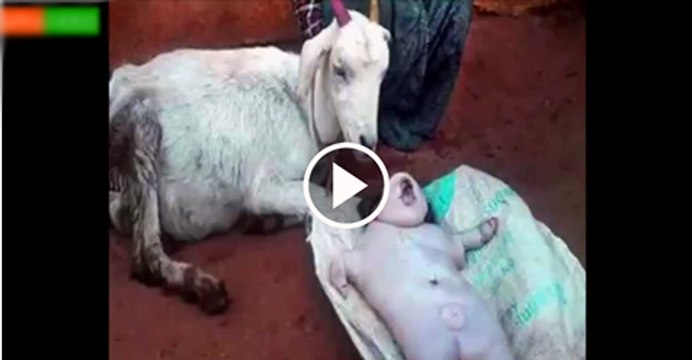 Weirdest Human Mutations