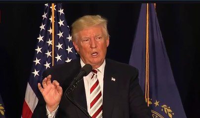 Donald Trump Windham