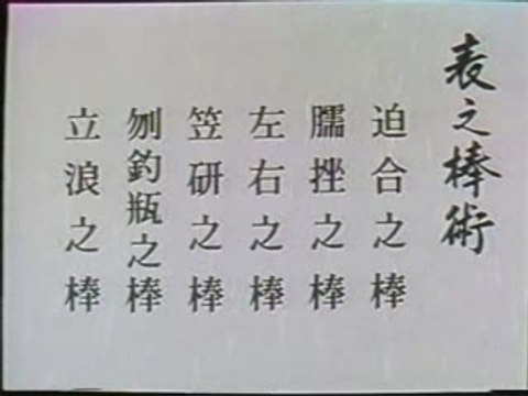 Katori shinto ryu risuke otake-2