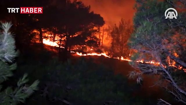 Kazdağları’nda orman yangını