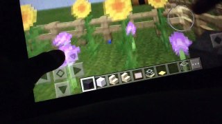 Minecraft PE | Single Doo's Lovely World | Back Garden {2}