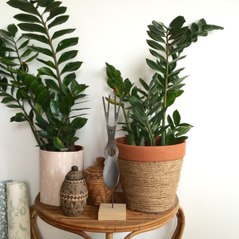 Tuto facile pour faire un cache pot avec de la corde