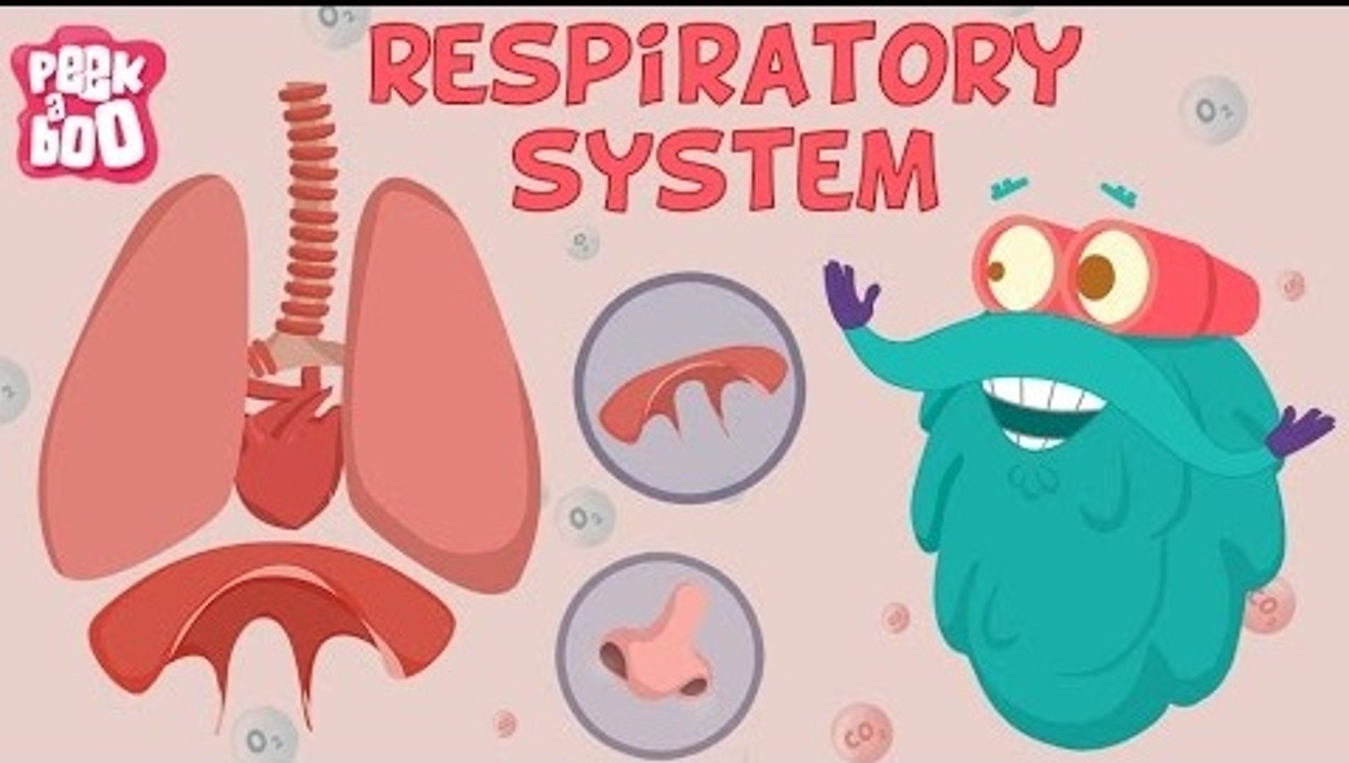 Respiratory System The Dr Binocs Show Learn Videos For Kids
