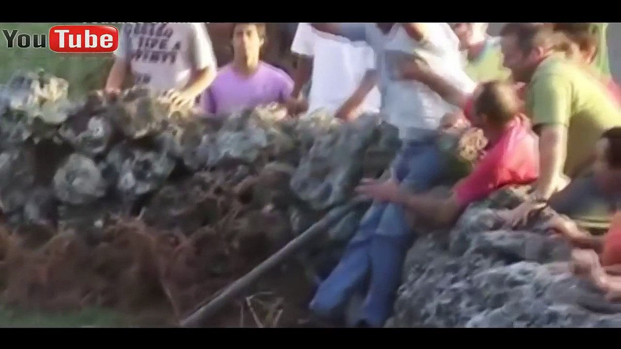 Most Awesome BullFighting Festival -Try Not to Laugh Crazy Bull Fails