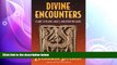 behold  Divine Encounters: A Guide to Visions, Angels, and Other Emissaries