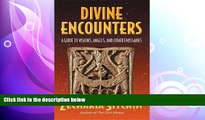 behold  Divine Encounters: A Guide to Visions, Angels, and Other Emissaries