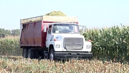 Silage Corn #925 (Air Date (12/27/15)
