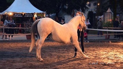 EQUESTRIA 2016  CAVAL ' EN CENNE  NUMERO : "6 EN HARMONIE"