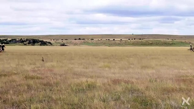 Reconstitution d'une bataille médiévale