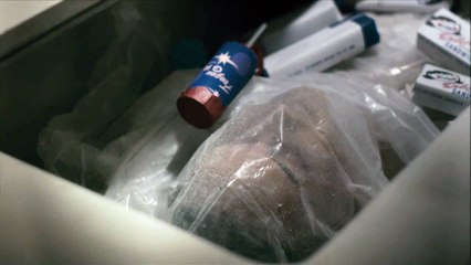 The Iceman - Extrait (2) VF