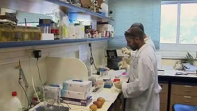 Potato battery new and improved Video Reuters