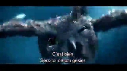 Le Royaume de Ga&#039;Hoole - la légende des gardiens VOST - Clip 4