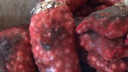 Şanlıurfa?da 28 Ton Soğan İmha Edildi