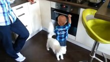 Un bébé est sur le point de mettre sa main dans un four. L'intervention du chat au dernier moment, est à saluer