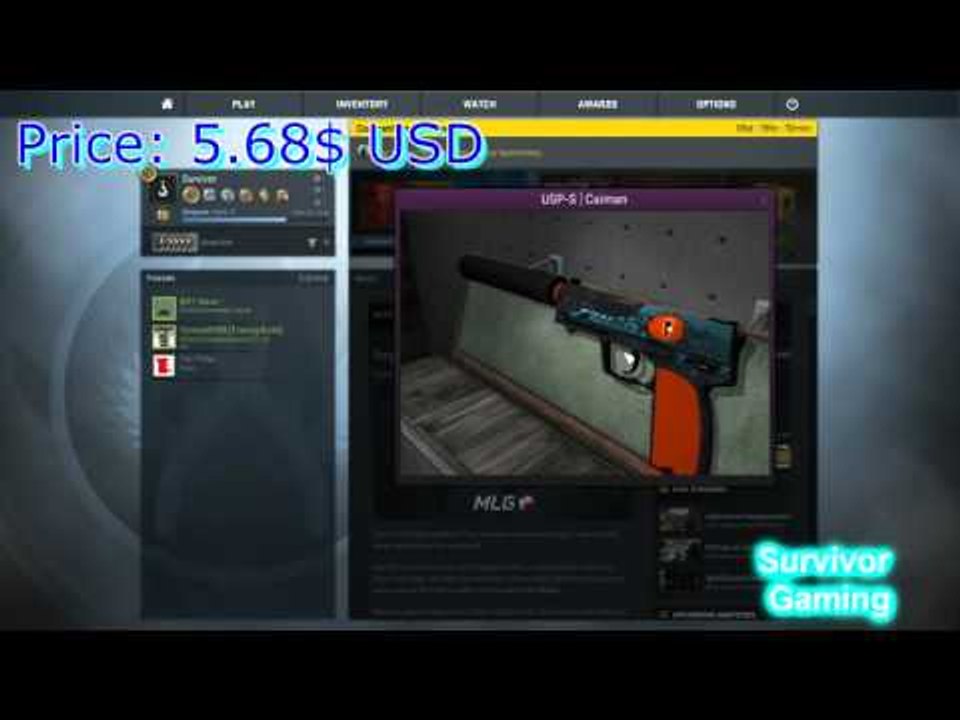Csgo Skinz - Cheapest 5 USP-S Skins
