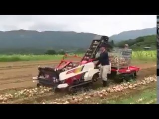 BASAL IN JAPON video HD