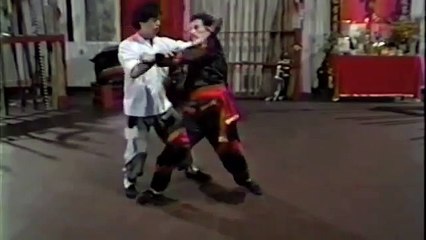 Choy Li Fut - Fighting Applications 17