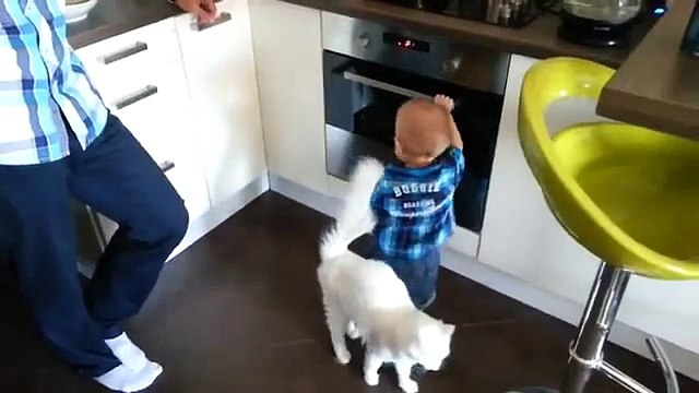Quand un chat sauve un bébé sur le point de toucher le four brulant! Dingue...