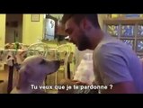 Ce chien commet une bêtise et veut se faire pardonner. Ce qu'il fait devant son maître, est bien mignon