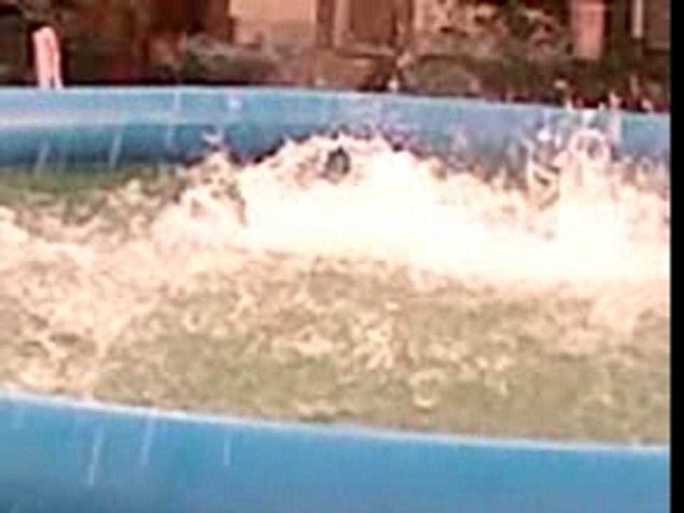saut dans la piscine
