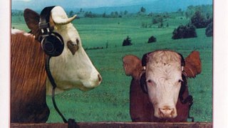 Thunder - Headphones For Cows - 03 - Tupelo