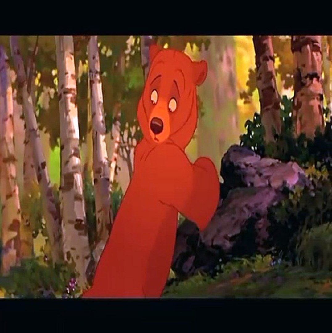 Frere Des Ours Vf Video Dailymotion