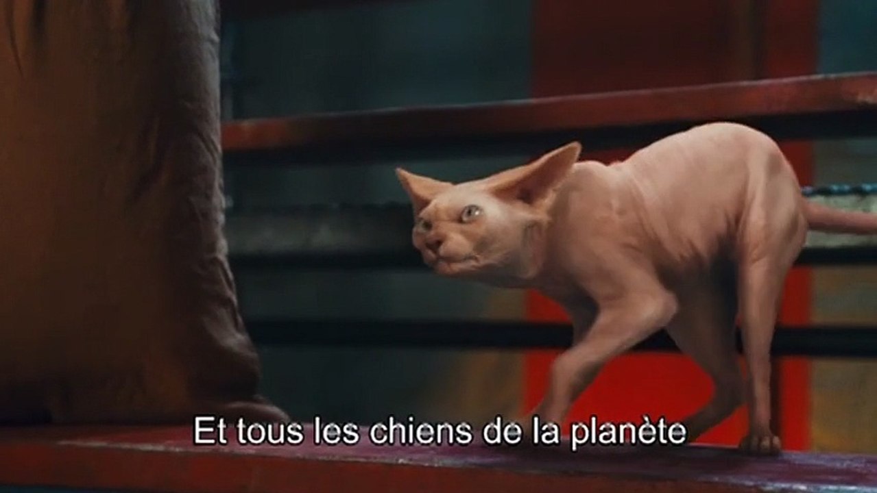 Comme chiens et chats : La revanche de Kitty Galore VOST - Ext 4