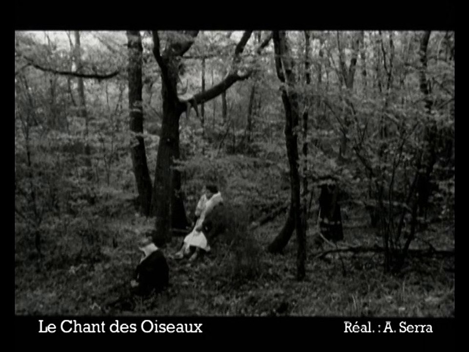 Le chant des oiseaux - Ext 6