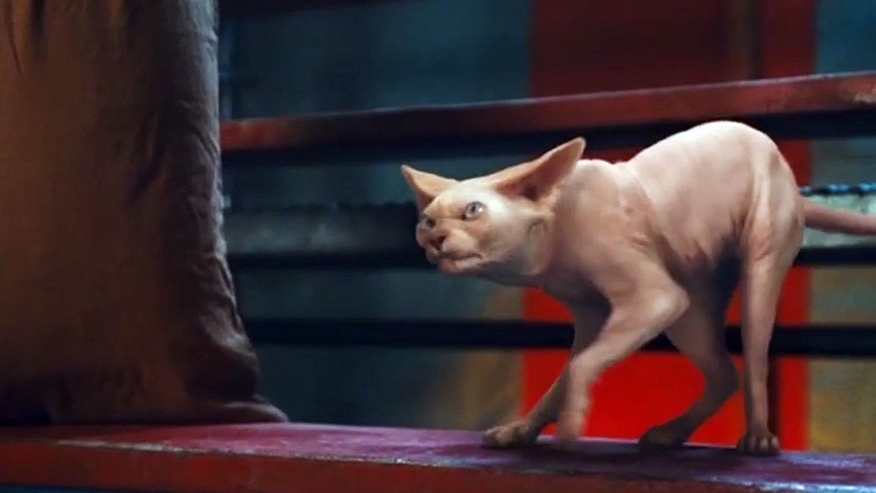 Comme chiens et chats : La revanche de Kitty Ga...