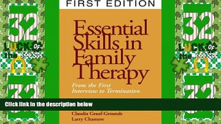 Big Deals  Essential Skills in Family Therapy: From the First Interview to Termination  Best
