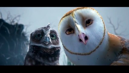 Le Royaume de Ga&#039;Hoole - la légende des gardiens VOST - Clip 2