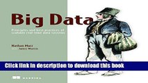 [Popular] Book Big Data: Principles and best practices of scalable realtime data systems Free Online