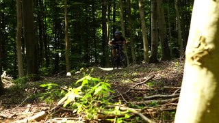 Trailbike Lap in Vienna with Clemens Kaudela