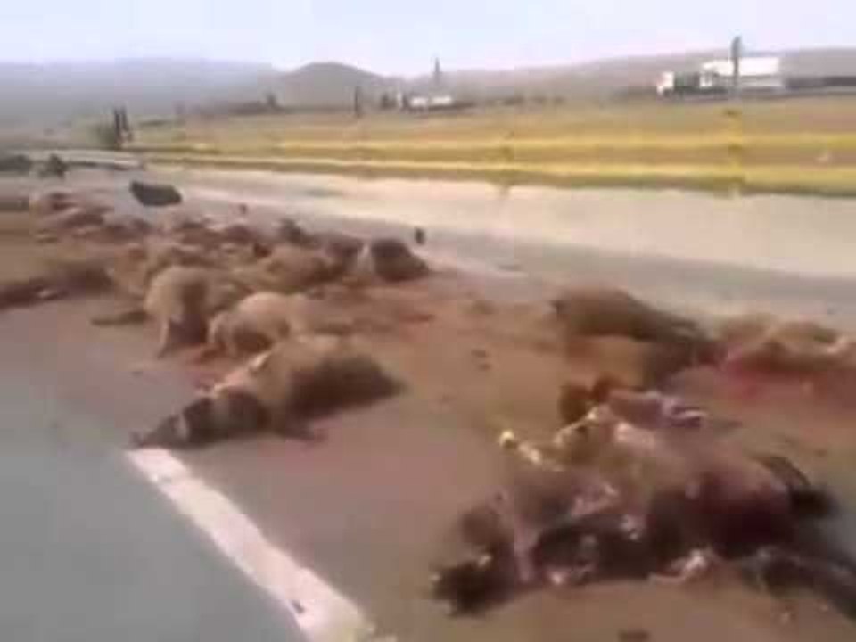 سائق كارثة..... لا حول ولاقوة الا بالله 18+