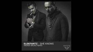 Elekfantz - She Knows (Andrea Bruno Remix)