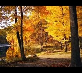 Photo slideshow(I just called to say i love you).avi
