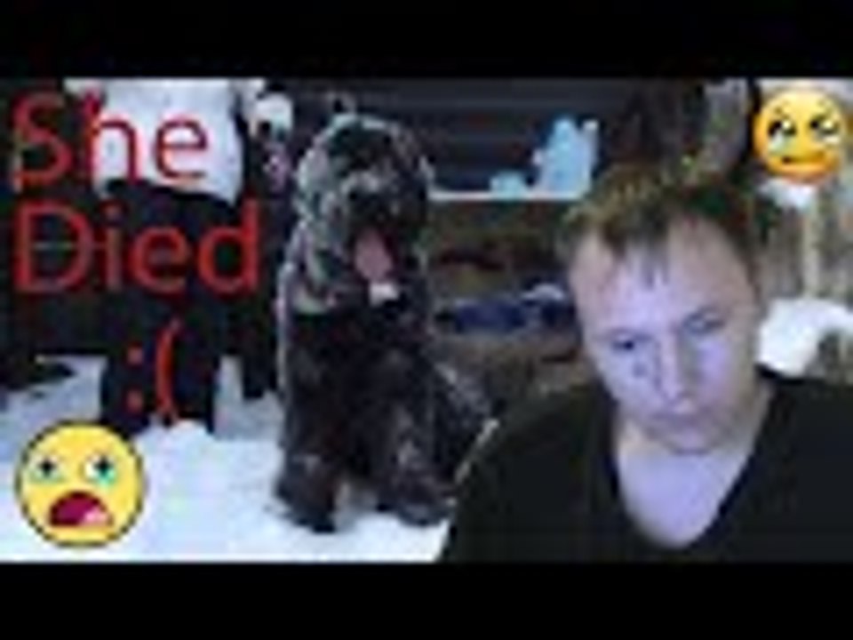 My dog died...